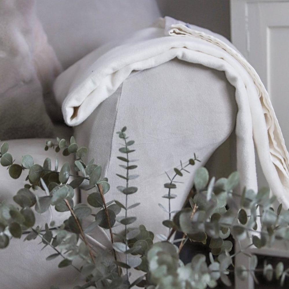 Eukalyptus-Softy-Decke